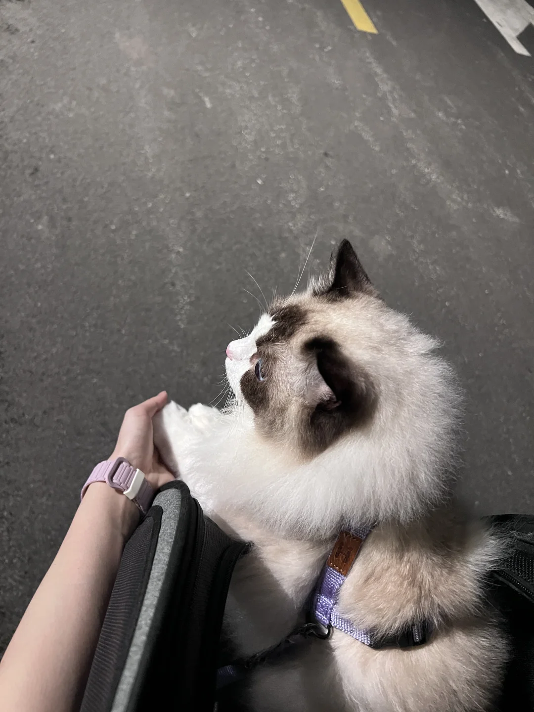 谁懂他双手搭在我手上的含金量