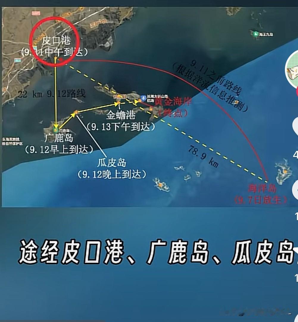 看了大连网红海豹娜娜的视频，我都哭了。
大连网红海豹娜娜，真的太深情了

谁能不