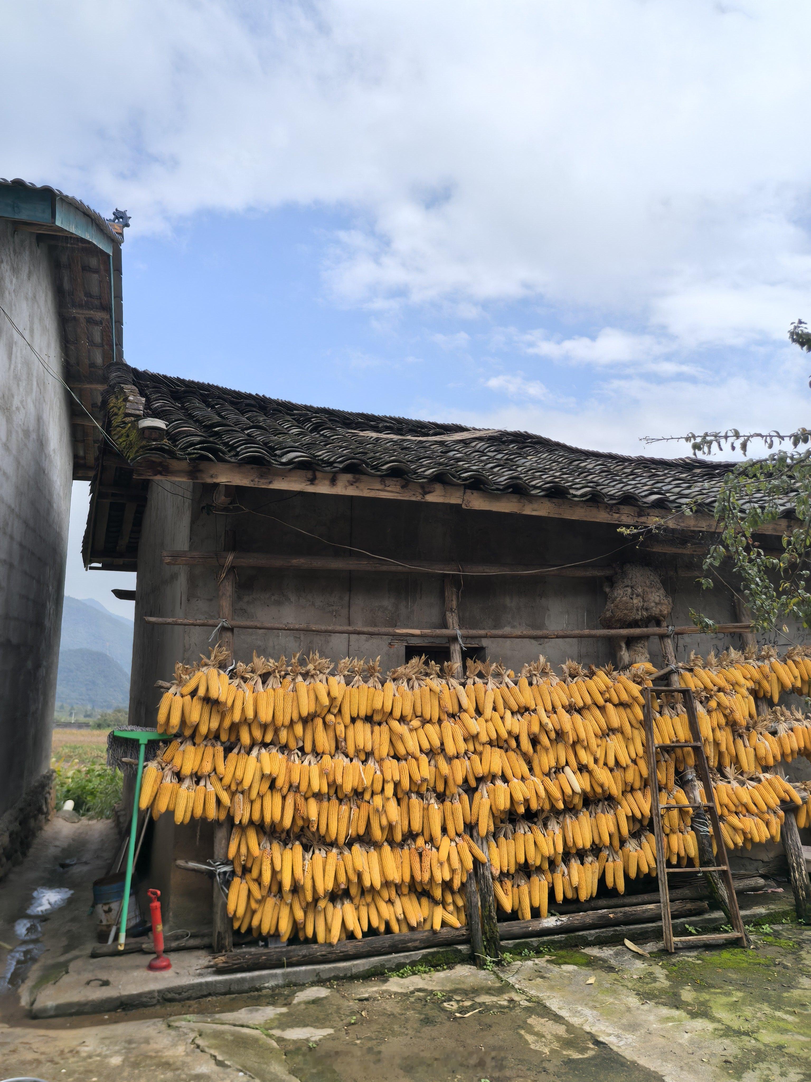 结束培训！返程后补个内容。[哈哈]日常碎片plog ​​​
