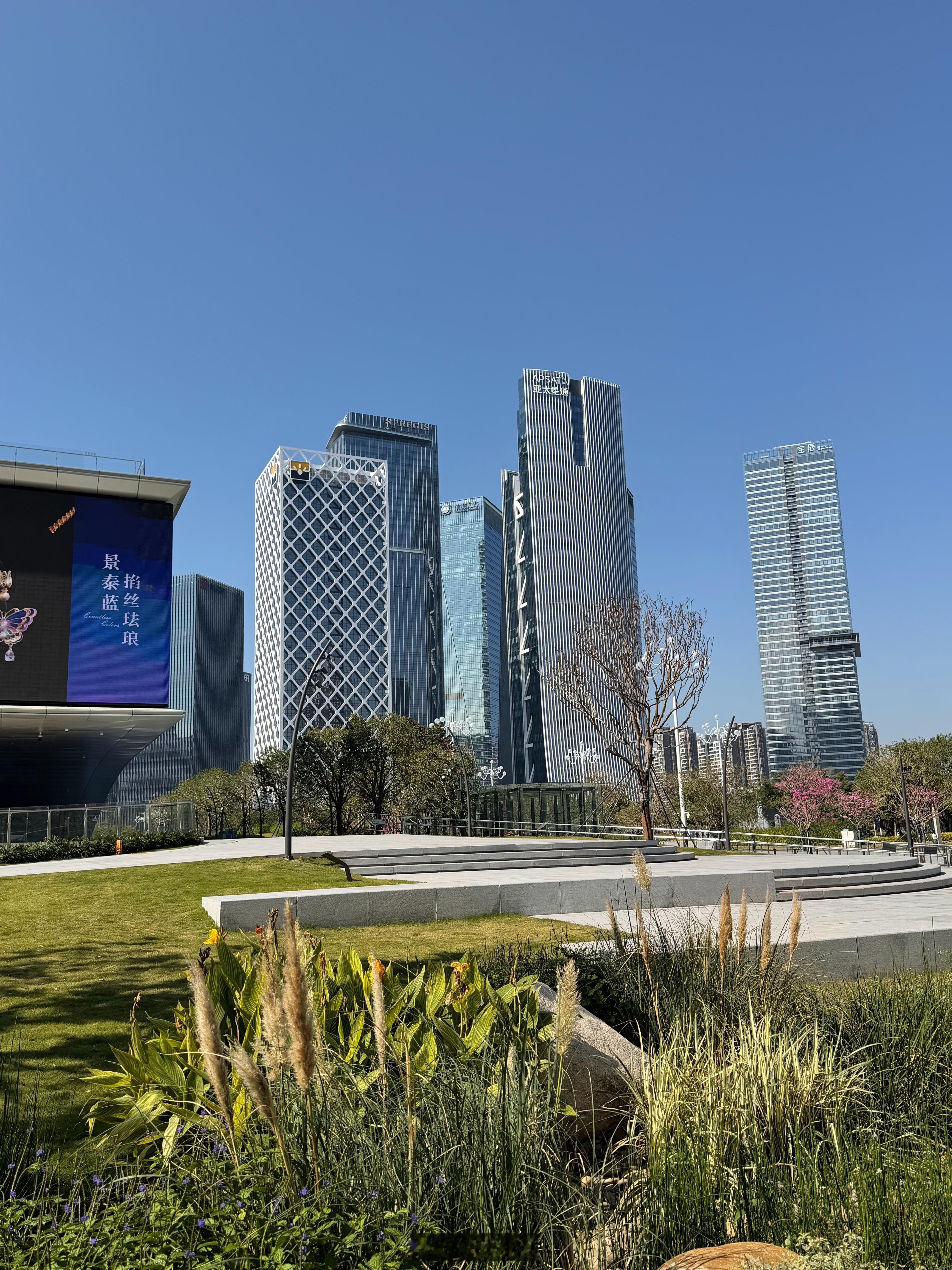 深圳活生生把12月过成了春天能生活在宝安中心，真的太美好了极致的舒适香港宣布取消