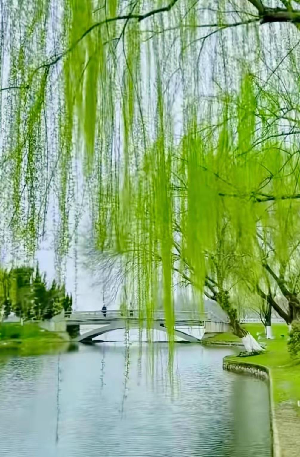 让每一天，在快乐中舒展
 
日子不必轰轰烈烈，也无需事事圆满。真正的生活智慧，是