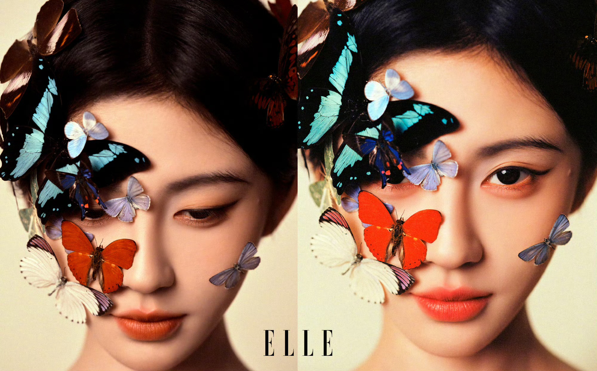 鞠婧祎elle杂志已经拿下女星第一了。散买900w➕，女星杂志销售量前十占五，粉