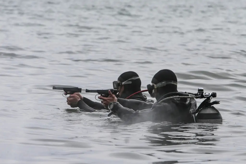 烽火问鼎计划每天认识一件兵器 《消息报》于1月16日报道了加强俄罗斯海军保护部队