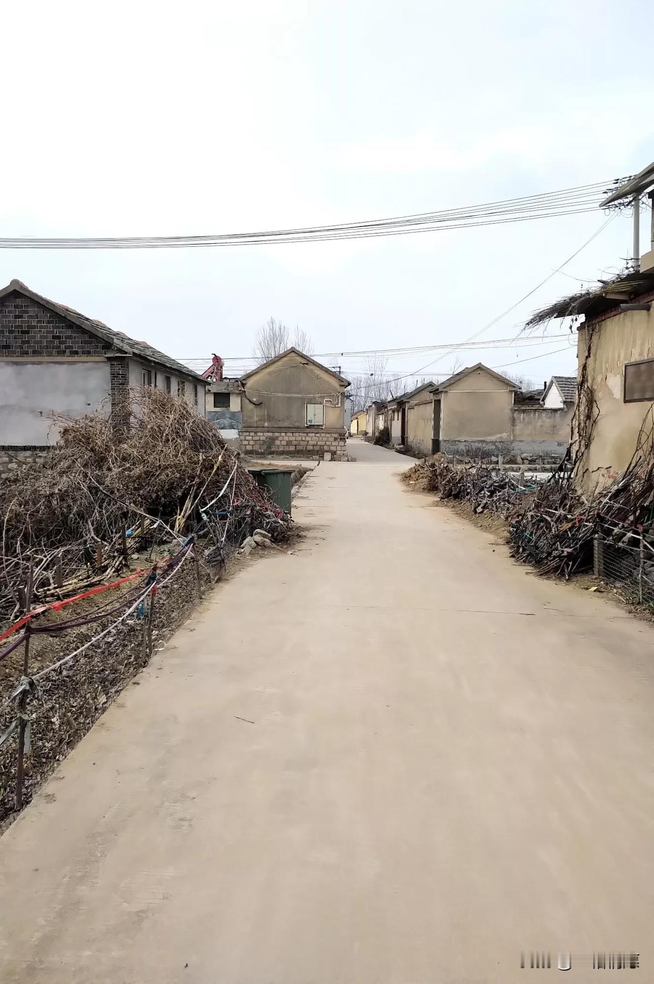 大年二十七了 ,北方地级城市周边的一处普通农村景象.街上几乎空无一人 ,基础建设