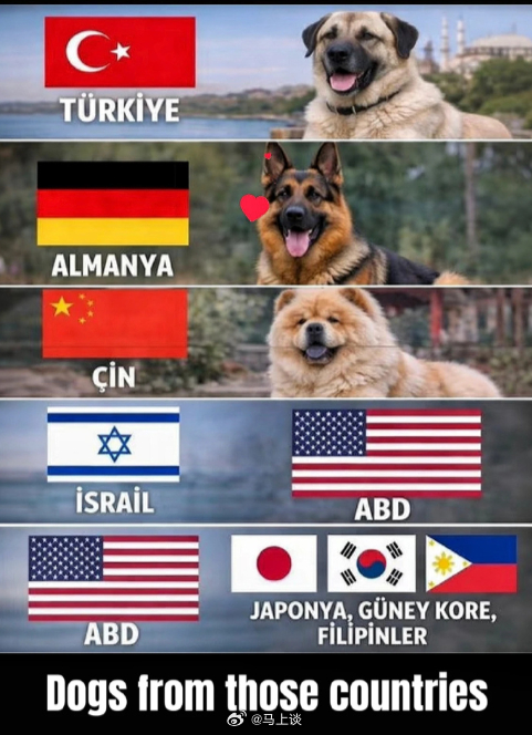 以色列总理警告特朗普勿仓促停火 谁是儿子，谁是爹，一目了然 