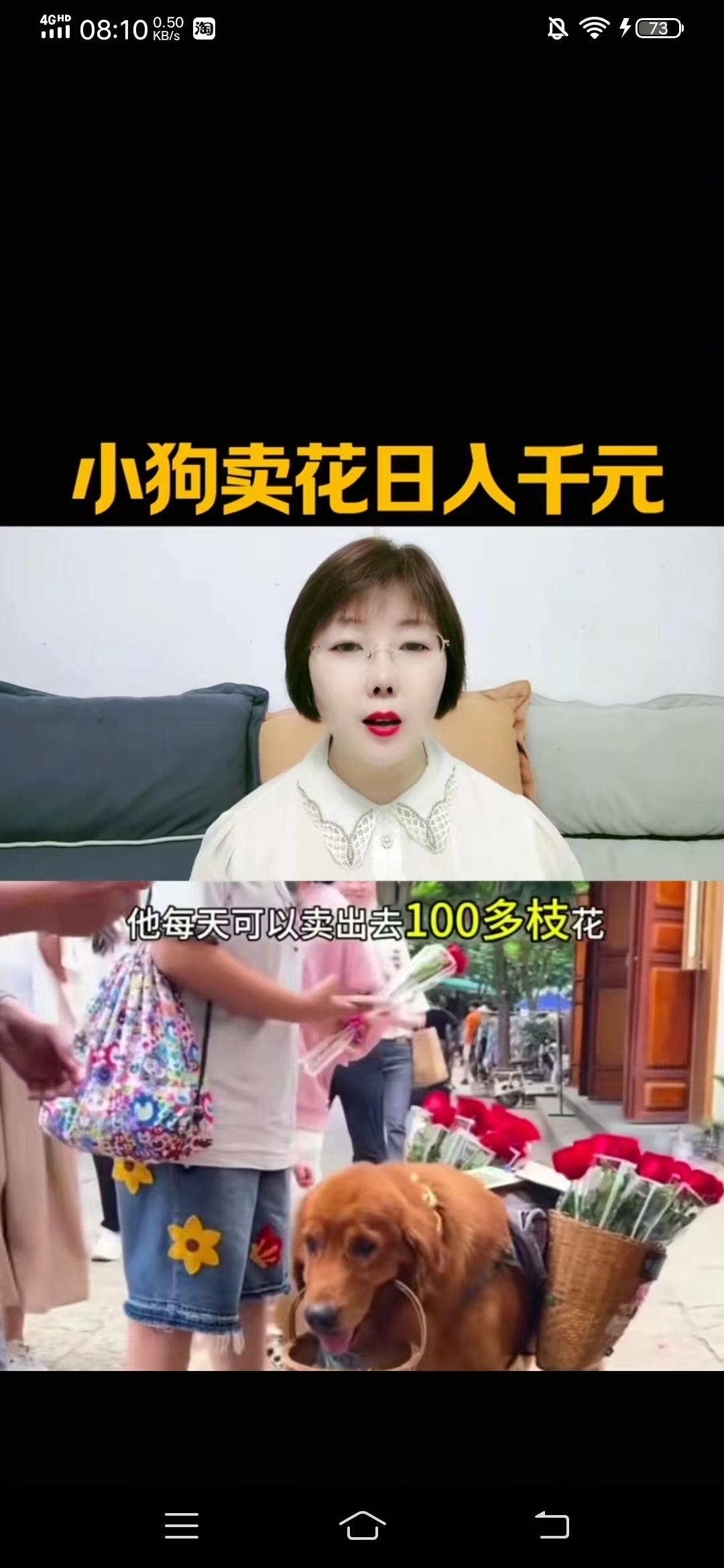 大理有只卖花的狗
近日，在云南大理街上，人们经常会看到一只大黄狗，背上驮着两篮鲜