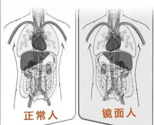 “开眼界了！”近日，福建，一男子突然感觉腹痛不适，疼痛难忍，于是便去就医，医生检