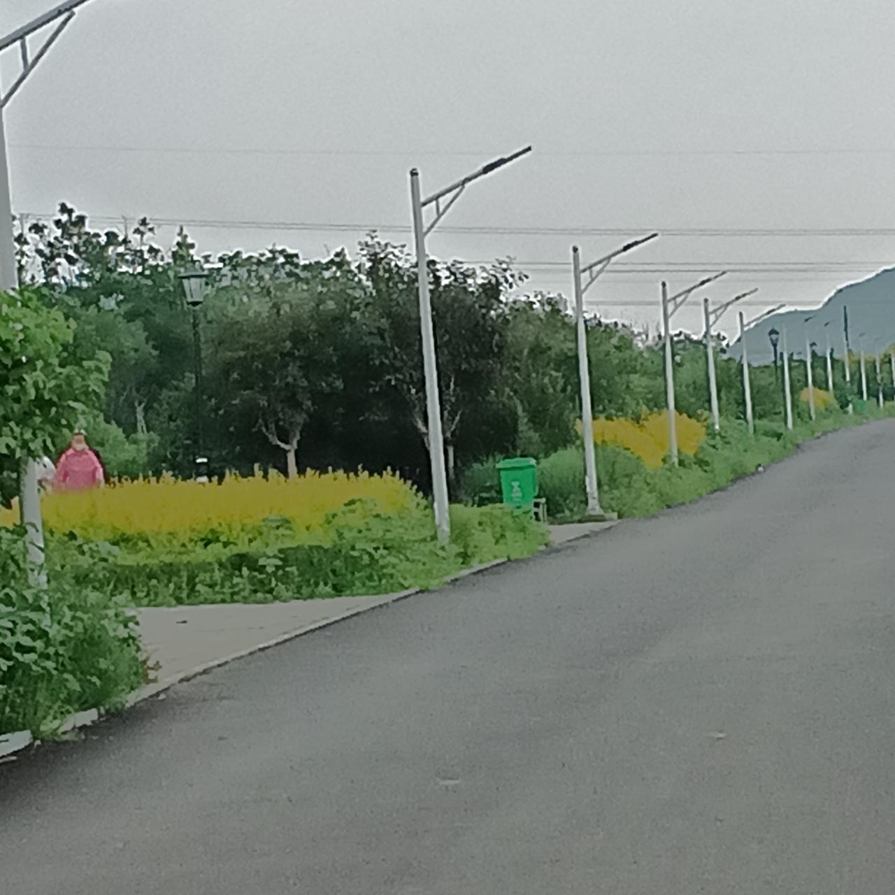 在中国传统文化中，这个“根”有着极其丰富的内涵，通常可以从以下三个层面来理解：