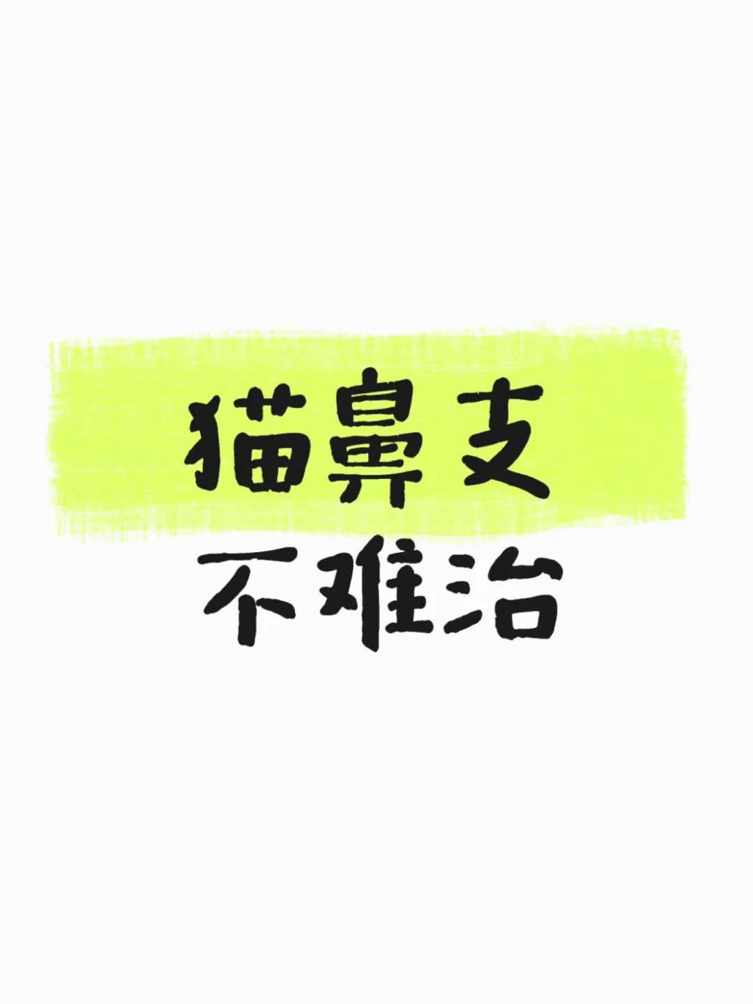 猫鼻支不难治，家长们心态要先稳住