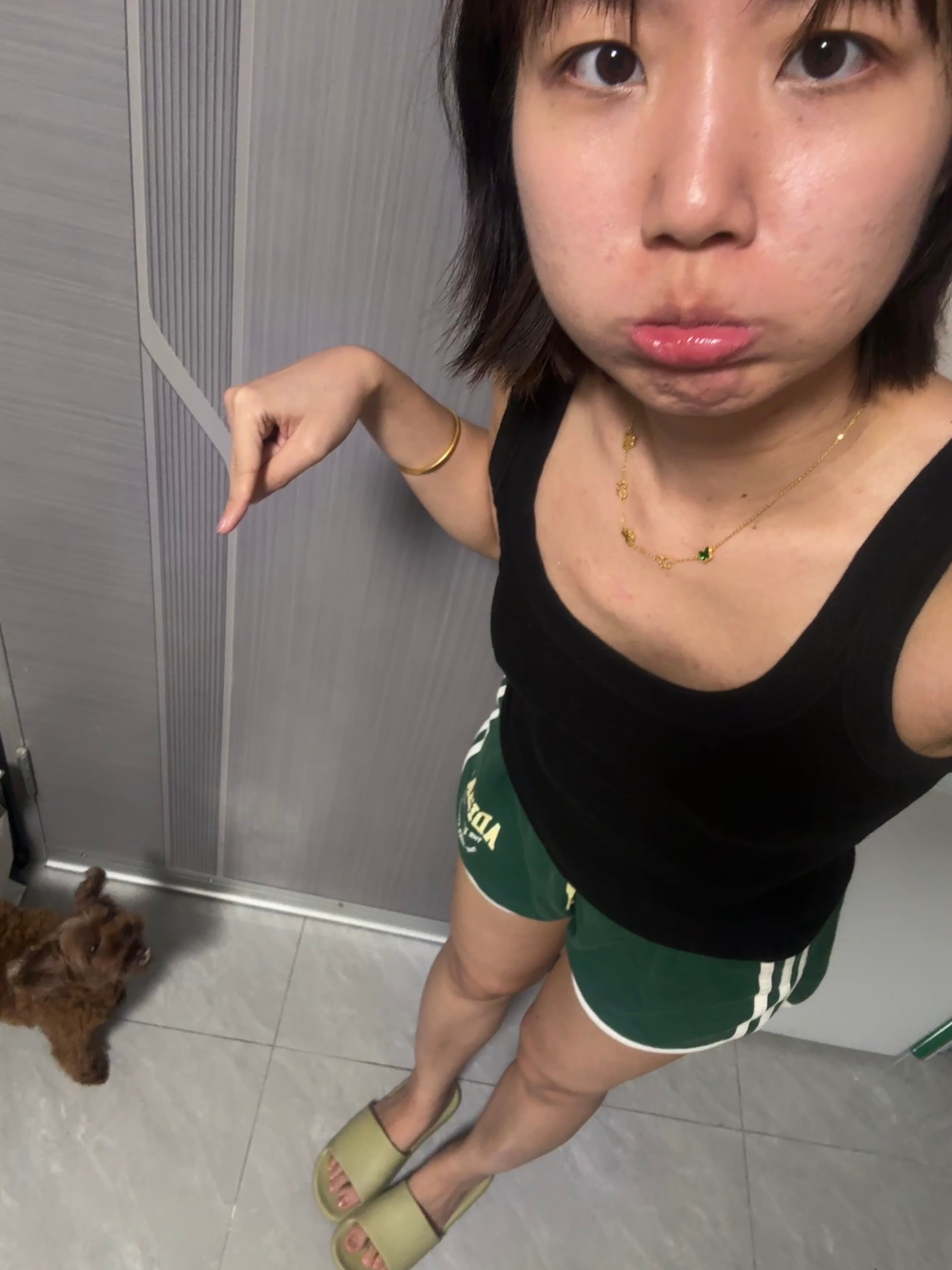 小狗叫叫叫叫叫 