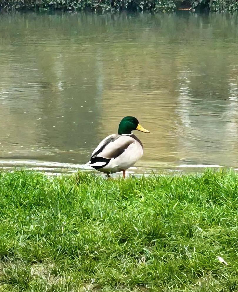 大家有没有发现，大多数想离婚女人都逃不开这三个通病！

厨房飘来焦糊味时，她