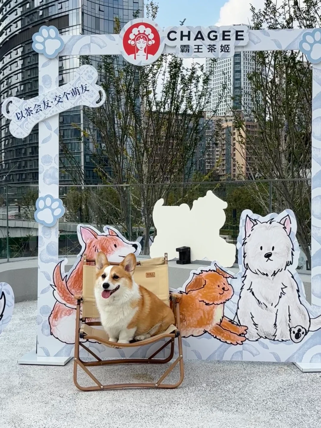 不愧是成都！西南首个神仙人宠互动社区开业