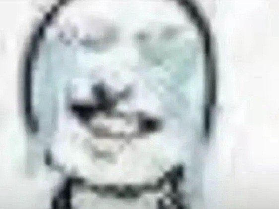 #黄晓明官宣最大的受害者出现了##黄晓明自曝不喜欢比自己强的女生#“今天我选择自