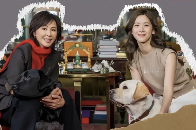 章泽天坐实了她“小娇妻”、“小白兔”的形象。幸亏是有故事的刘嘉玲捧场。有点深度的