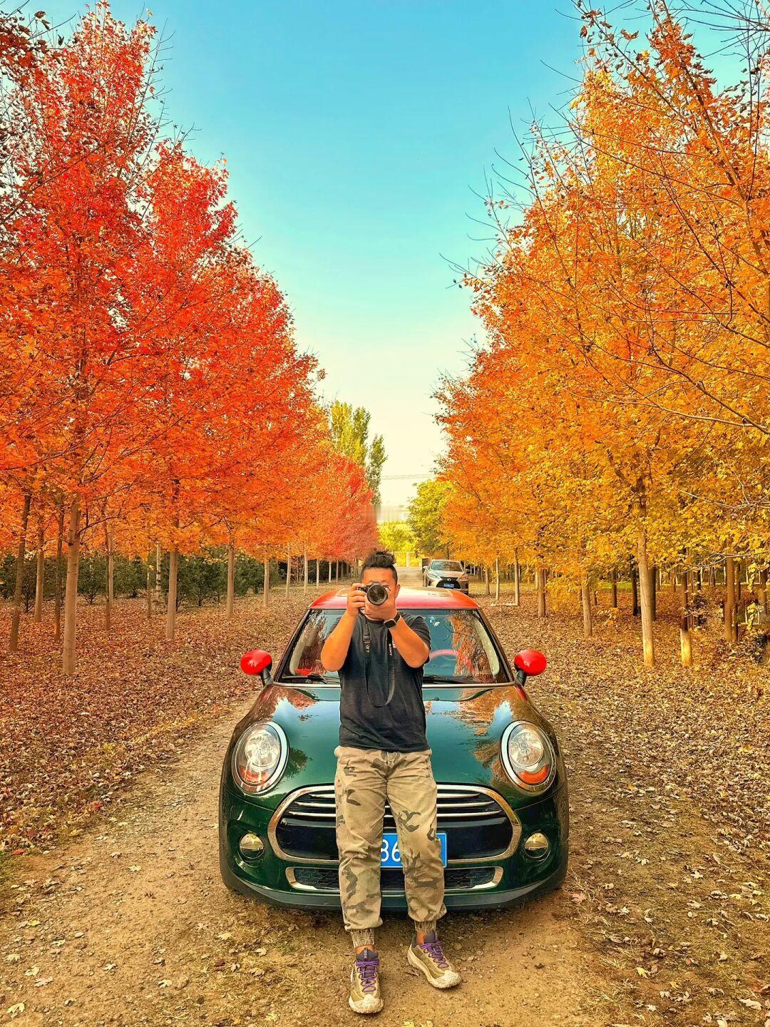 我宣布这里北京秋天红树林🍁天花板，决绝子