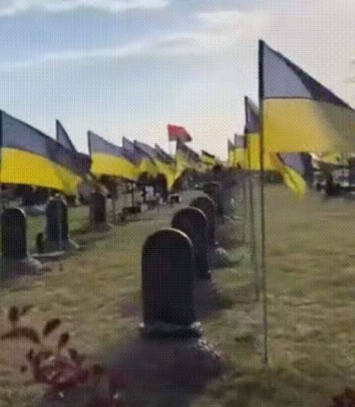 红军城战场清理开始！俄军遗体回收队发现惊人比例，乌军阵亡者中外国面孔超三成，个别