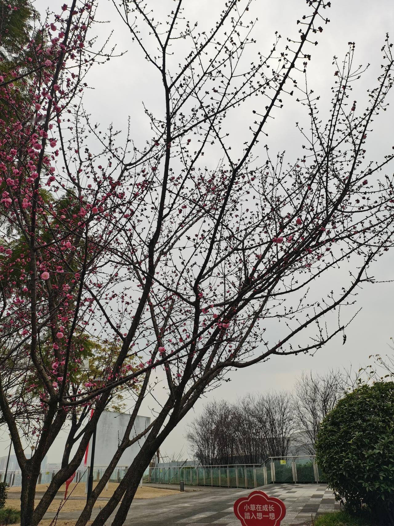 网上消息，某地四名教师的高级职称被撤销了。原因是高级职称评审材料造假，遭人举报。