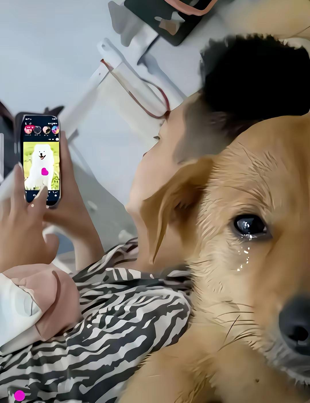 欧买噶的，他有新欢了