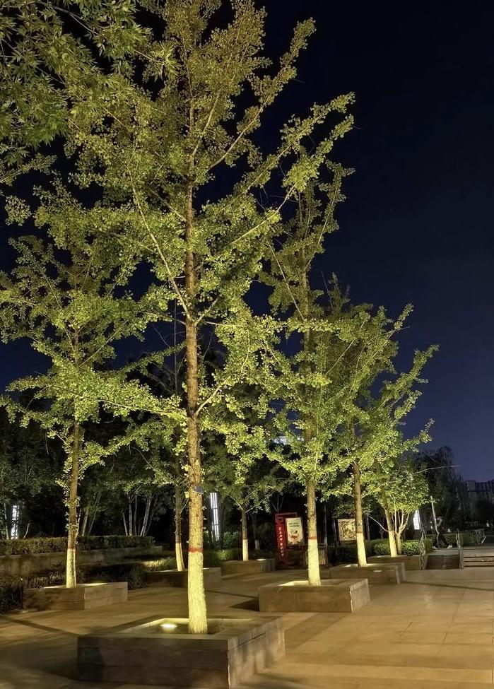 我更喜欢晚上散步。夜晚凉爽安静，风一吹，白天的疲惫也跟着散开了。晚饭后走一走，能