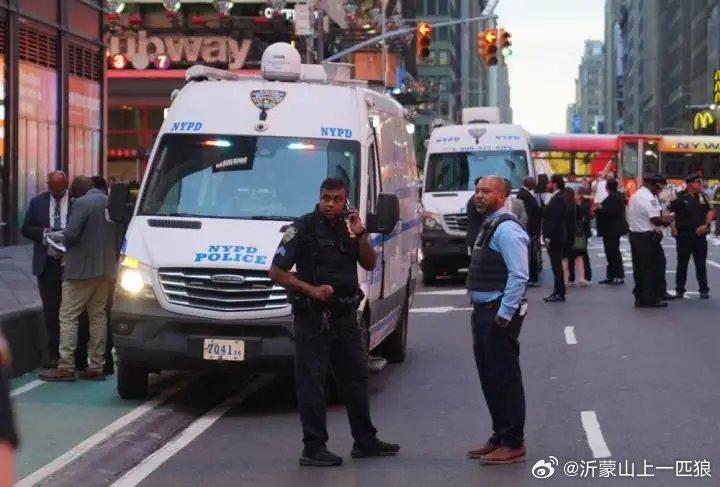 【美国银行副总裁在纽约时报广场被刺身亡，年仅32岁】美国银行副总裁艾琳·皮亚琴蒂