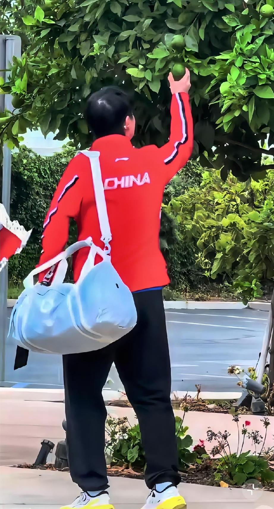 果果摘果果，果果可好吃？
盛夏的果实累累
果果的奖杯座座
美国大满贯两轮过去，随