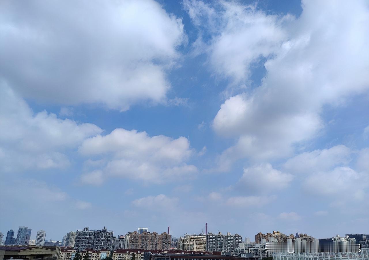 看这天气，是铁了心要冲“高温日榜首”啊！

白露都过去9天了，上海半点秋意没有，