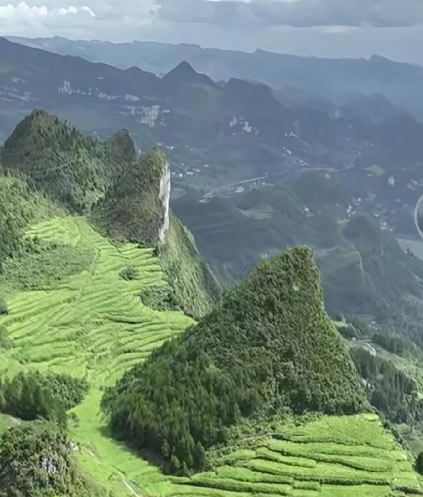 要成精了，@749。