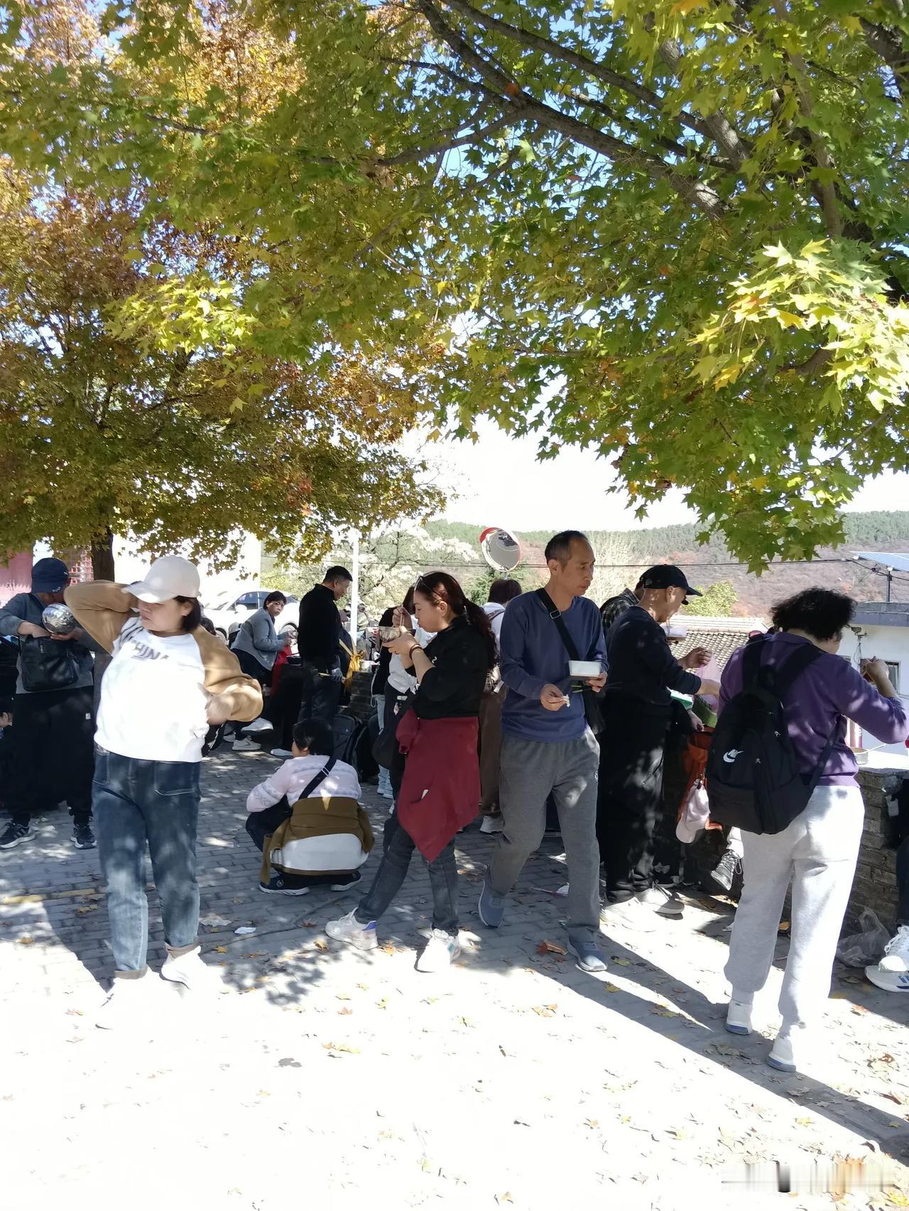我走在秋天的树林里，脚踩着树上纷纷落下的光阴，我自知再也找不回从春天到夏天再到秋
