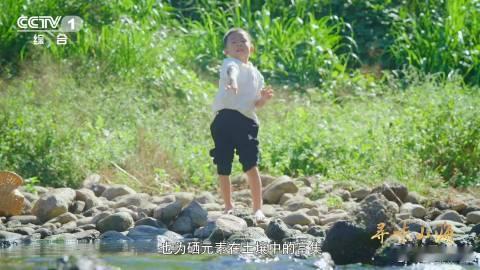 喝山泉水吃蚌螺的鸭子有多鲜离开家乡就会褪色的连城白鸭 福建连城白鸭等这类鸭子，简