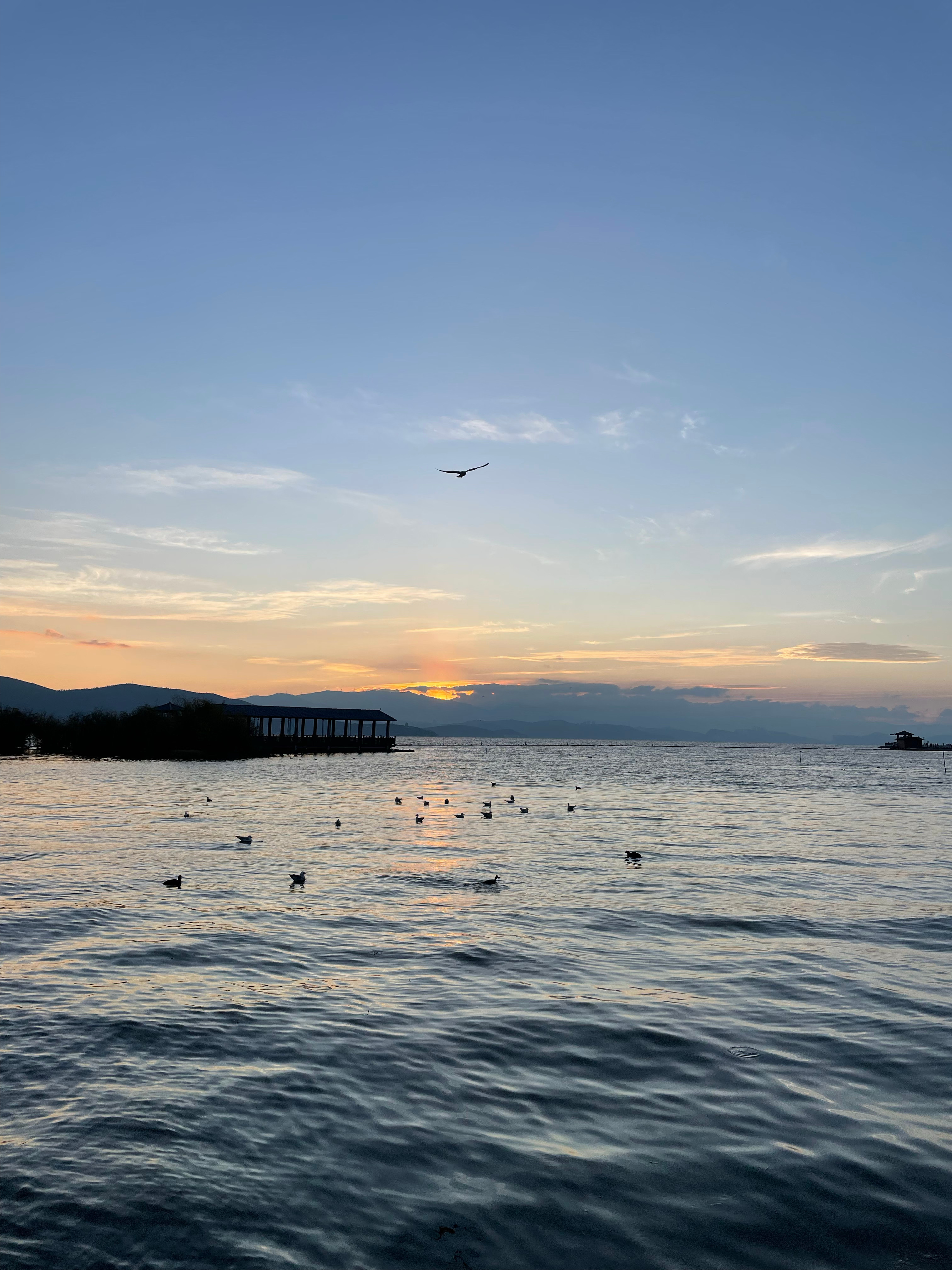 滑着板看日出，太阳洒在脸上像是天然粉底液，捡到一个蒲公英，昨天夜市捡漏一个危料翡