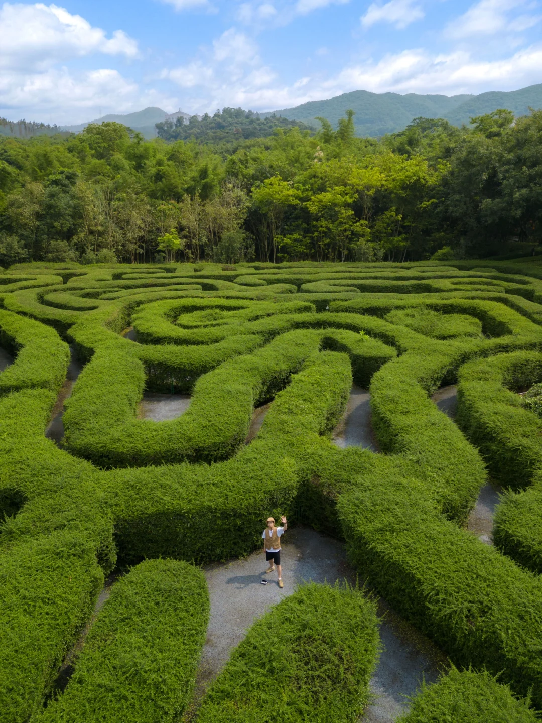 深圳周边|误入爱丽丝梦游仙境‼️
