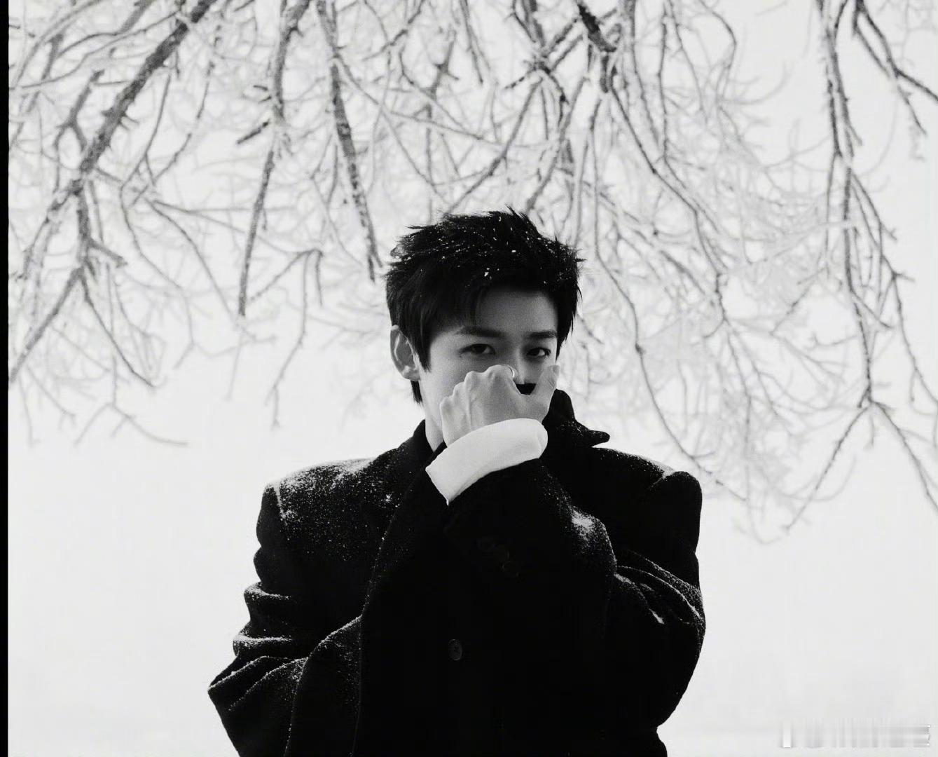 白敬亭在吉林拍出发图白敬亭雾凇出发图真的 