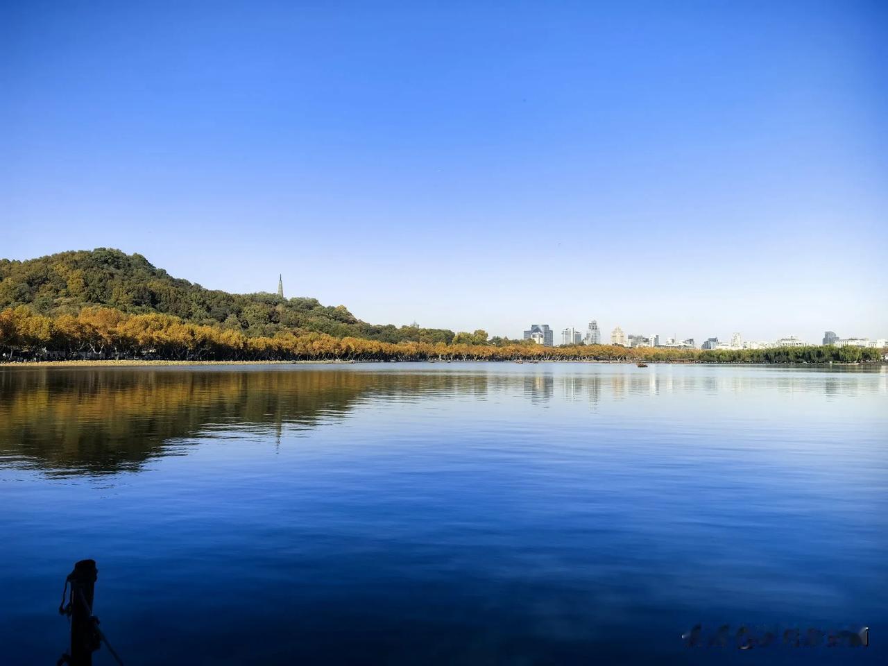 钱塘湖春行
白居易·唐
孤山寺北贾亭西，
水面初平云脚低。
几处早莺争暖树，
谁
