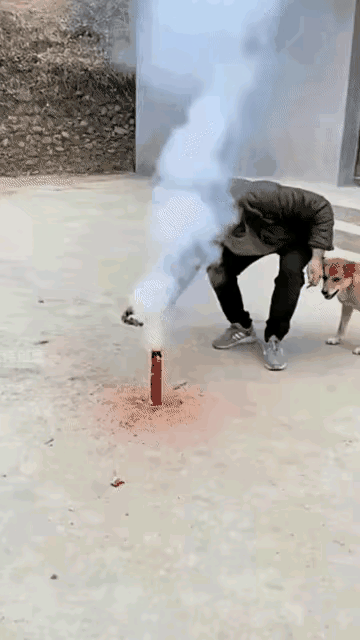 这只“烟花气氛组”狗狗也太会搞事了！搬新家的团圆饭直接被它整成大型惊喜现场，又怕