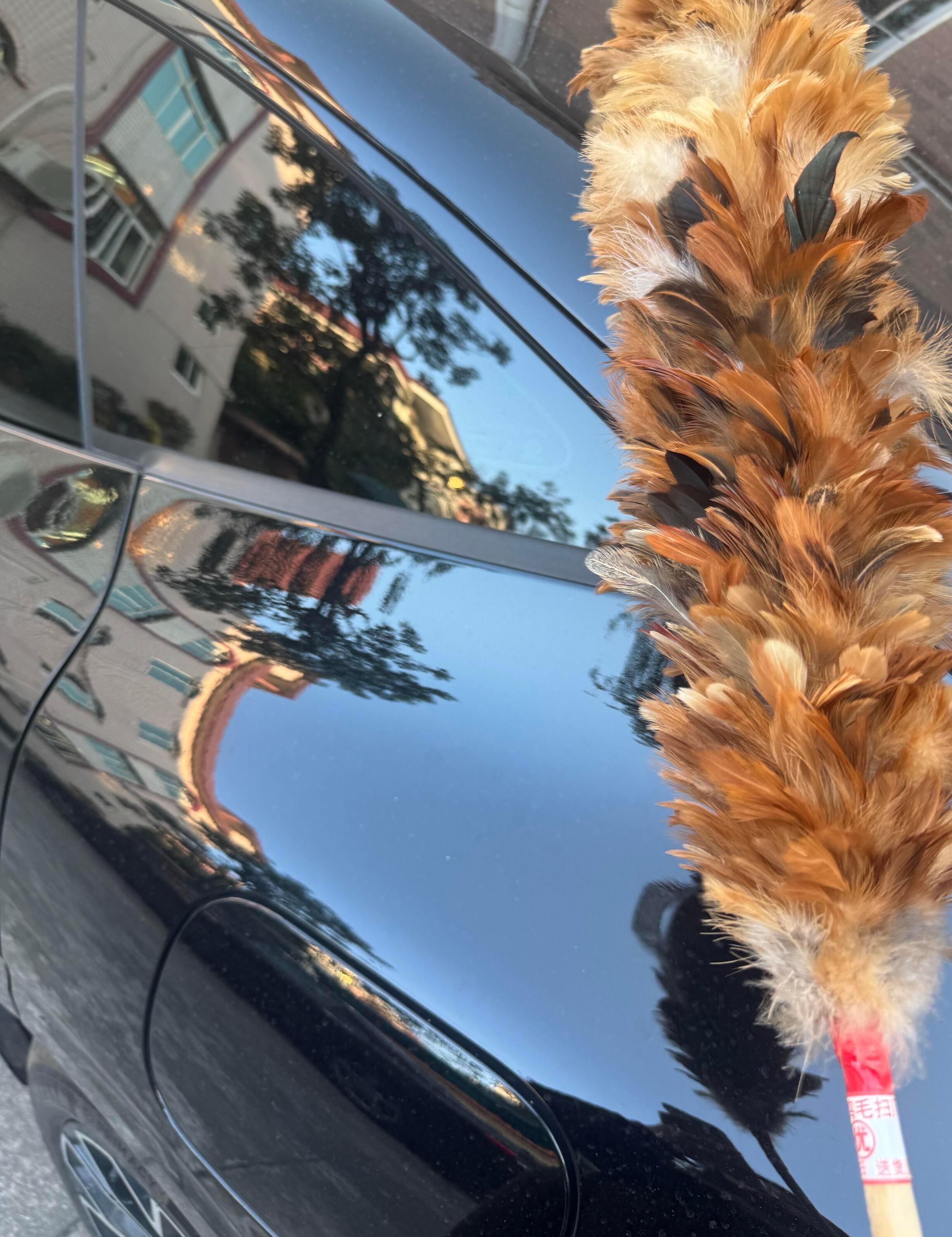 我宣布！鸡毛扫就是黑车最佳清洁工具洗车都变得有趣轻松起来 