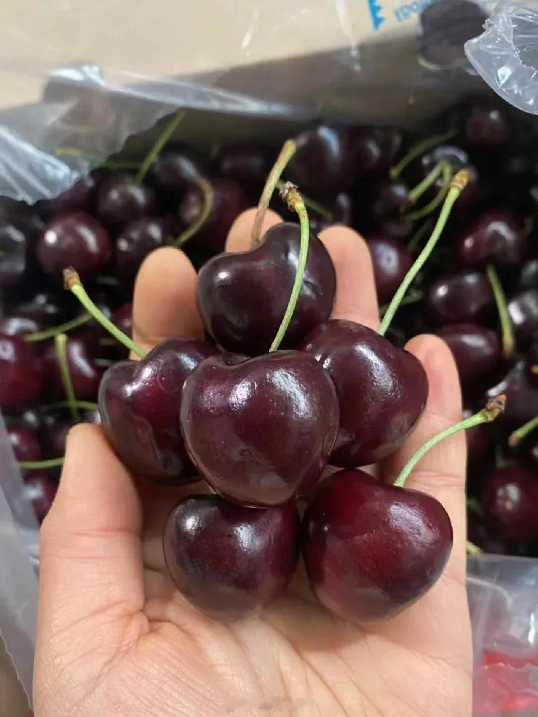 车厘子价格崩了口感也崩了这事儿真不稀奇，毕竟保质期摆在那，商家只能低价抛售赚成本
