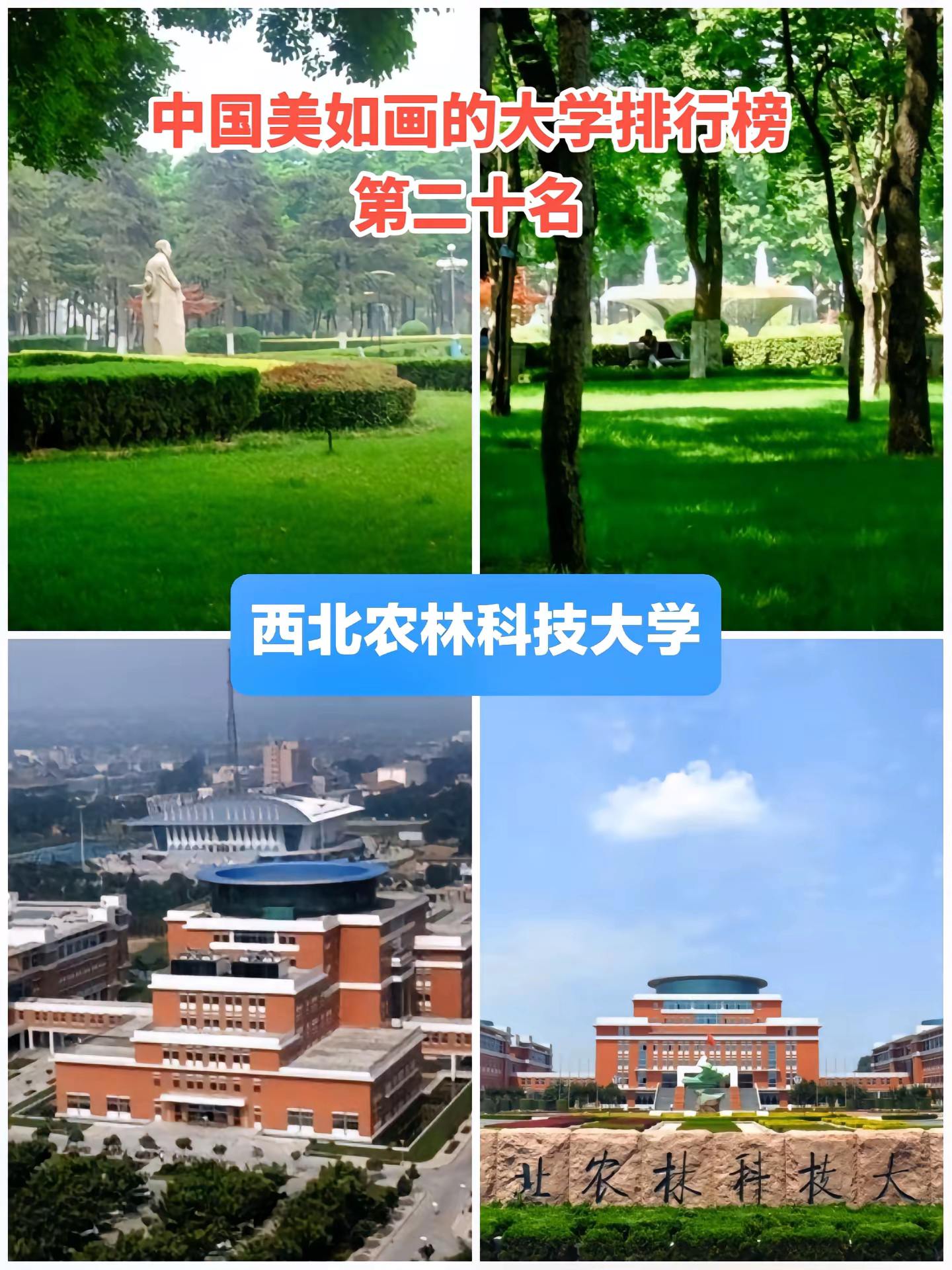 中国最美大学排名。志愿填报