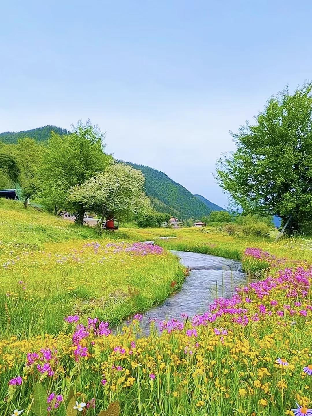 一阵风，一场雨，岁月清浅，夏日安然。落花随水东流去，人间何处不销魂。

携风度流
