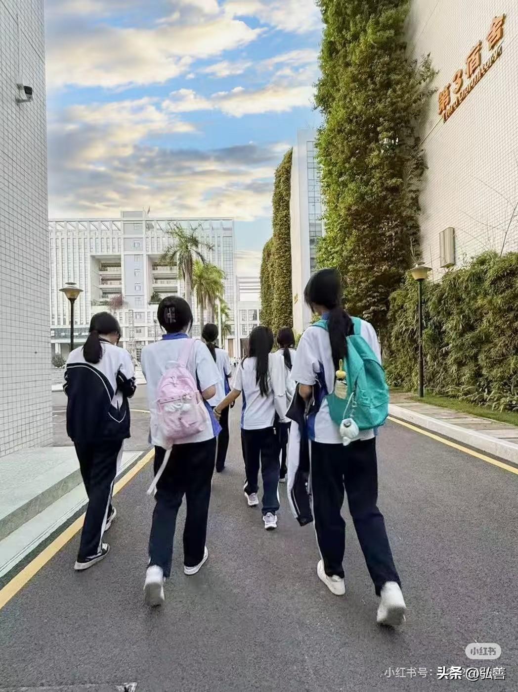 我认为会怀念校园时光

我总会时常怀念上学的日子。那时日子简单纯粹，没有繁杂的生