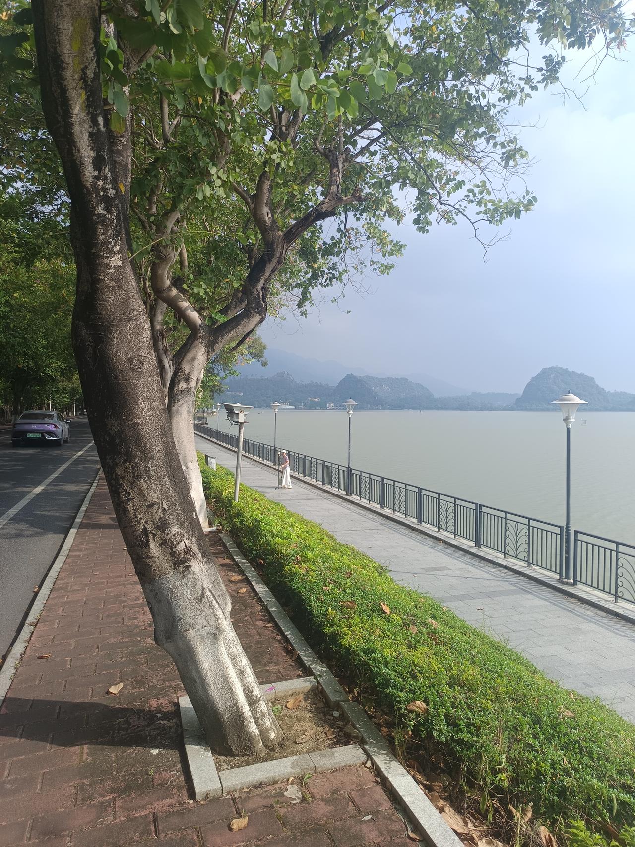 我在七星岩风景区
发现一个很严重的问题
但不知怎么说才好了



你敢相信吗？原