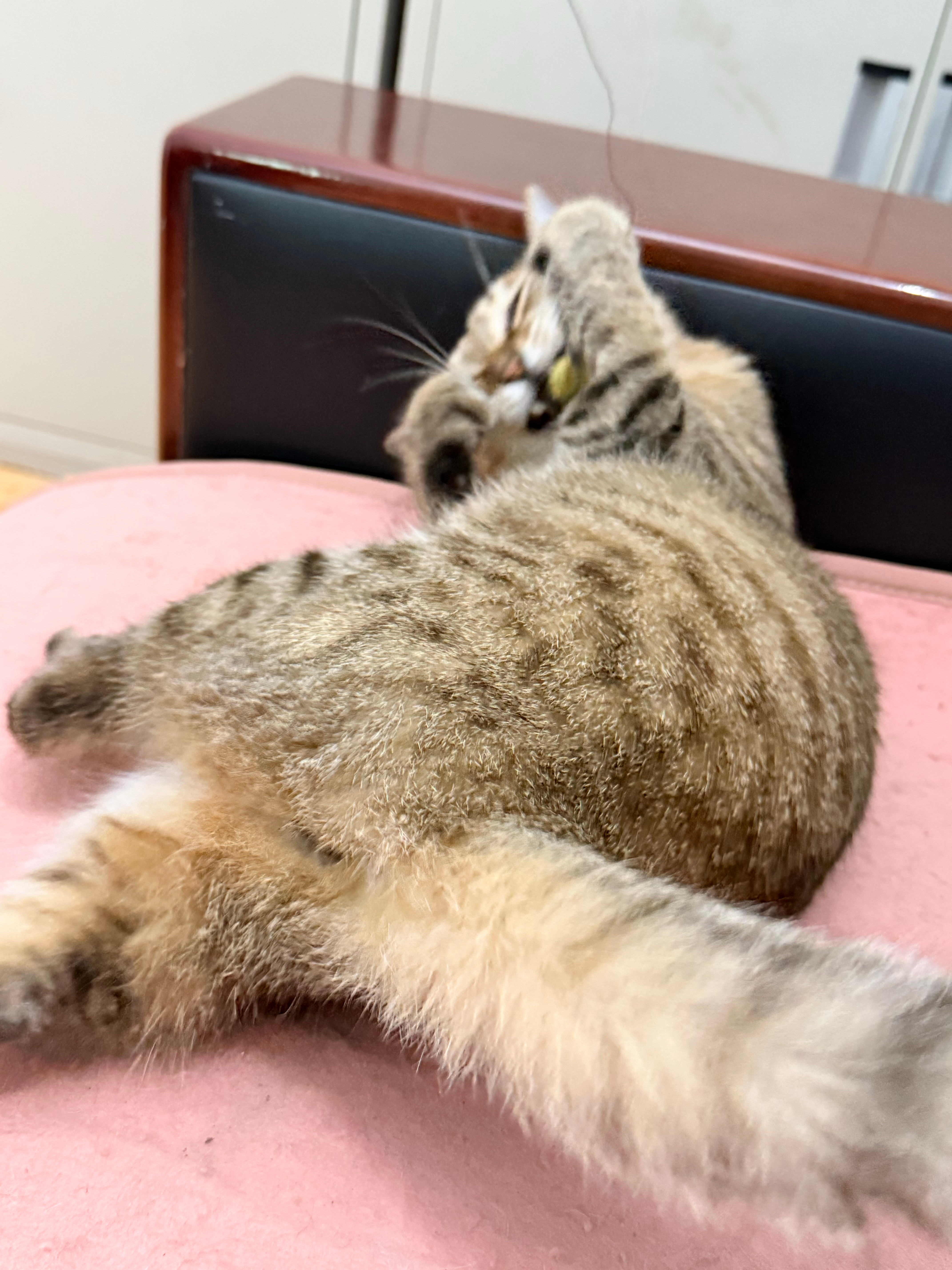 彻底疯狂了 ​​​