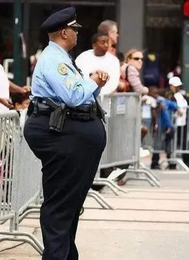 欧洲人胖，美国人更胖

他们的饮食习惯接近，都是以高热量、高脂肪、高糖分的食品较