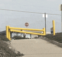 躲得过初一，躲不过十五