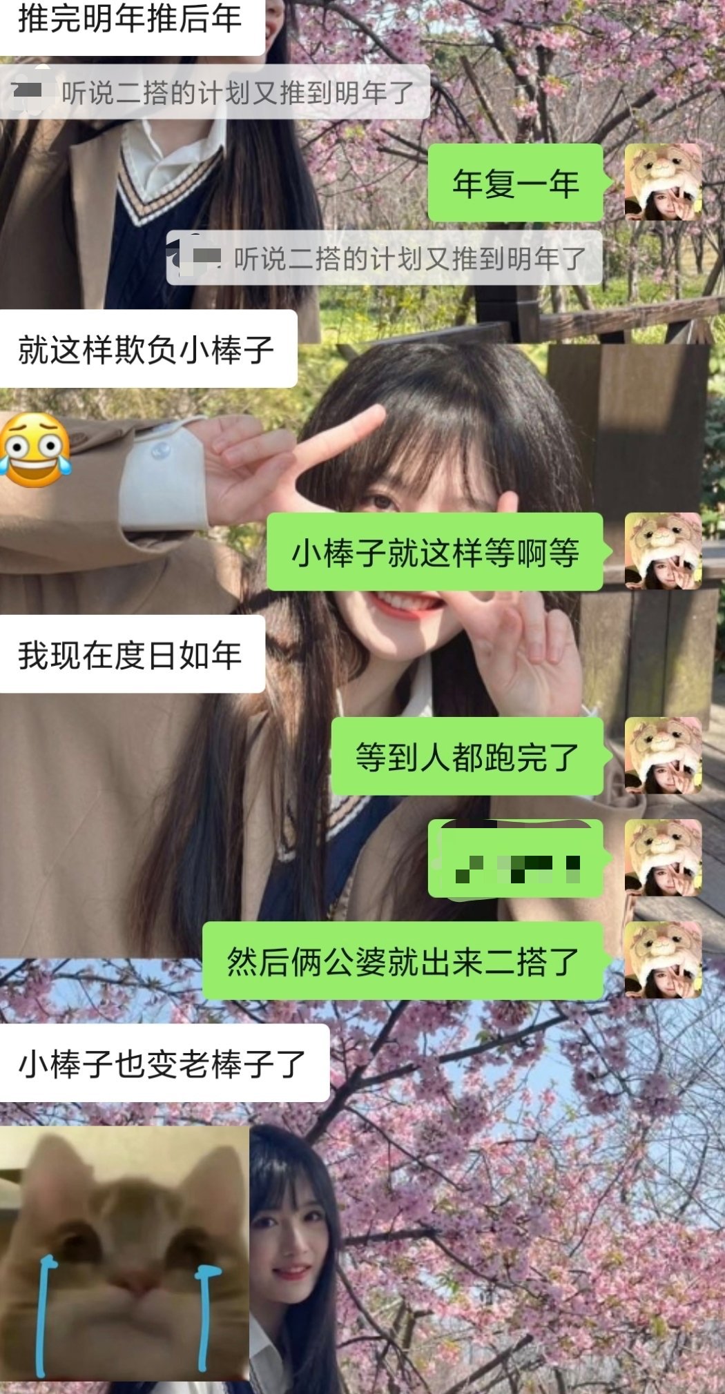 好惨的小棒子 