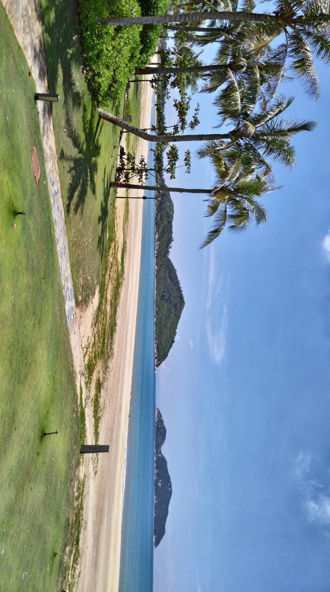 阳光沙滩，椰林海浪，度假天堂！🏖️🌴🌊