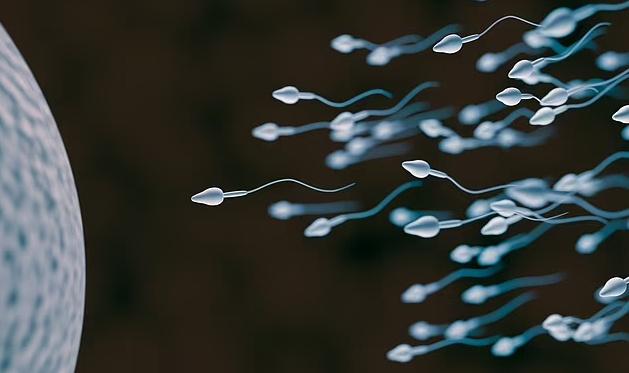 【检查精子后27岁健身教练崩溃】捐精志愿者合格率逐年下降
匀称的身材、强壮的肌肉