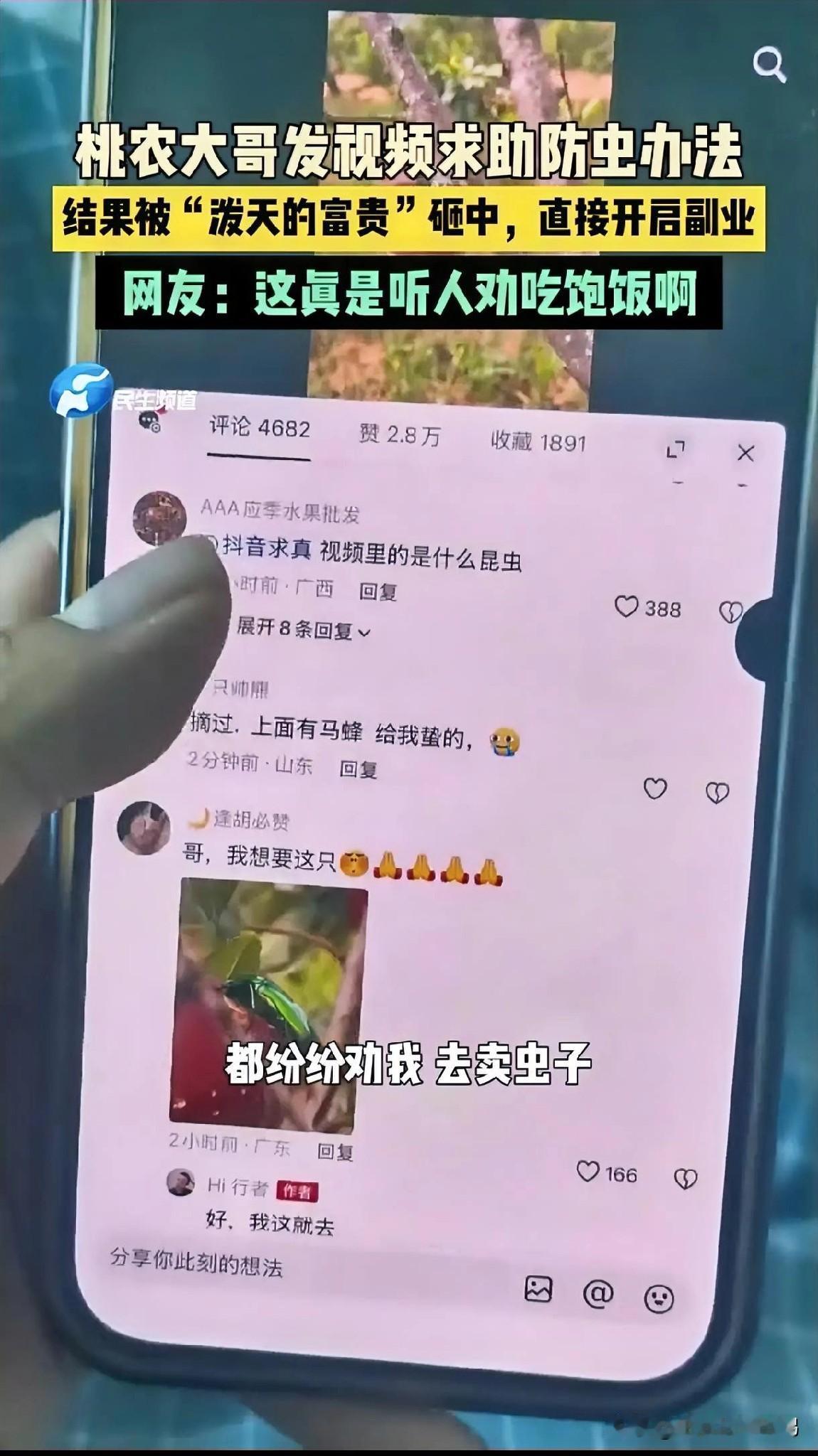 辛苦种的桃子卖相不好。桃农大哥种的桃子，不是肥料也不是天气原因，而是桃子上长了太