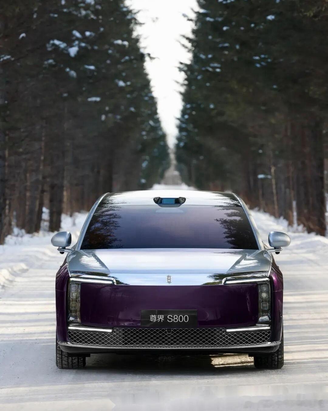 相比捷豹Type00量产版！我更喜欢尊界S800！大家的选择是？大v聊车