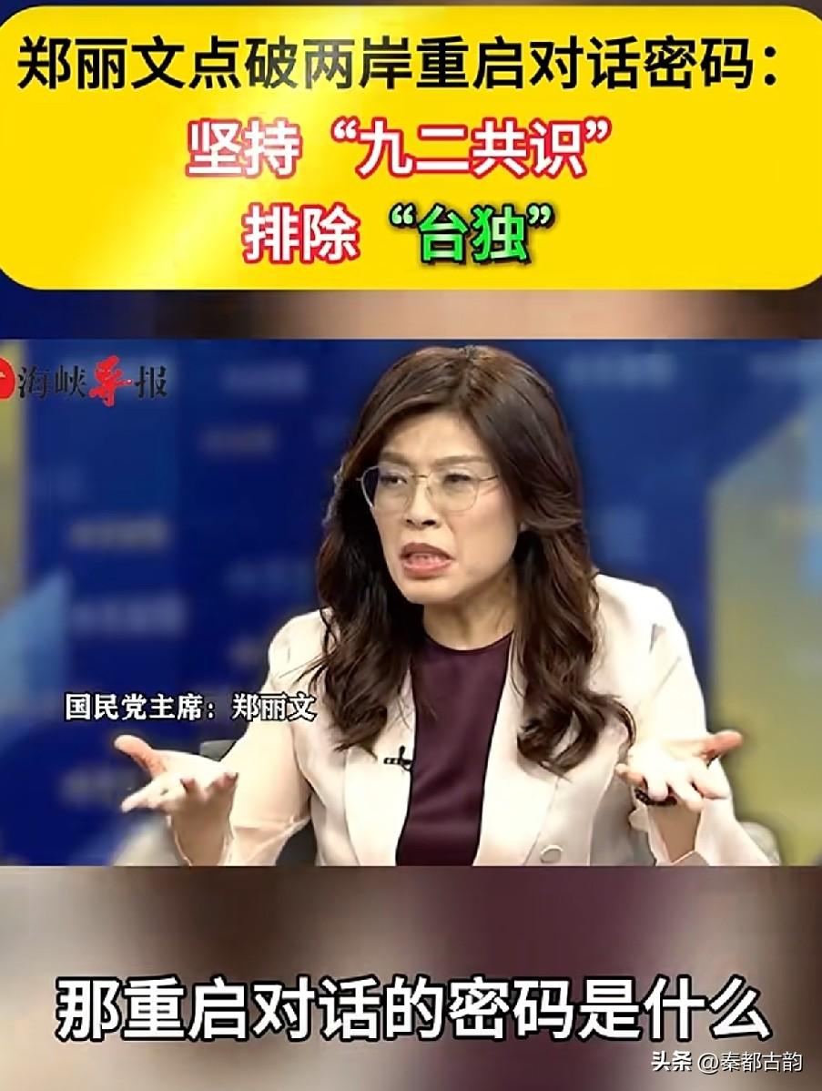 郑丽文一语点透，两岸想要重启对话，核心密码就两点：坚守“九二共识”、排除“台独”
