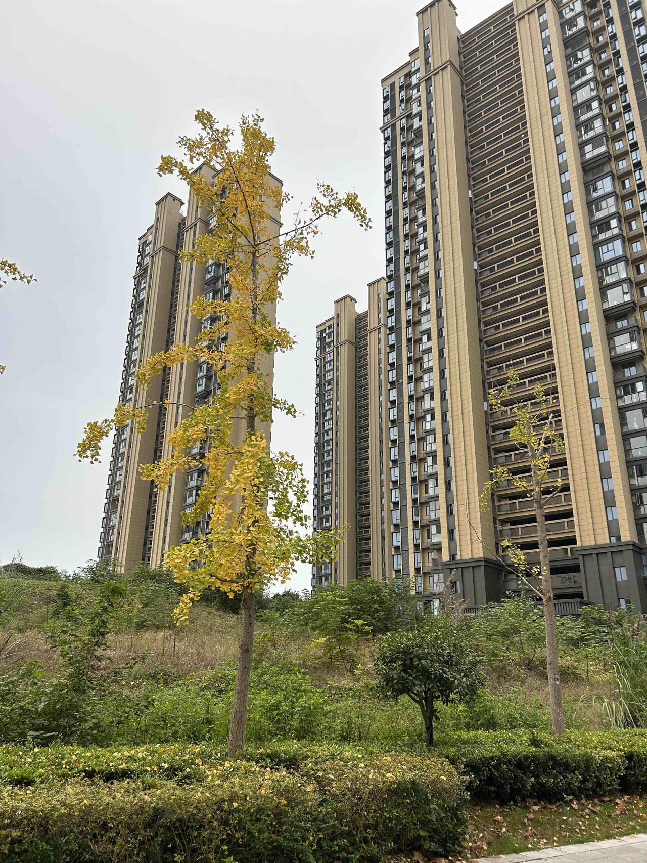 宜昌人注意！今天的天气和空气质量简直在“开盲盒”，千万别踩坑！

今晨6点还是晴